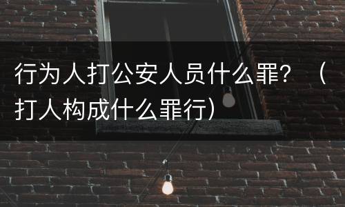 行为人打公安人员什么罪？（打人构成什么罪行）