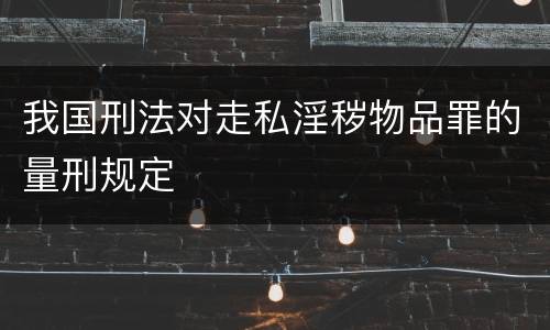 我国刑法对走私淫秽物品罪的量刑规定