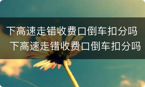 下高速走错收费口倒车扣分吗 下高速走错收费口倒车扣分吗怎么处罚
