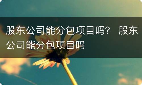 股东公司能分包项目吗？ 股东公司能分包项目吗