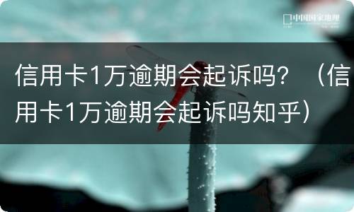 信用卡1万逾期会起诉吗？（信用卡1万逾期会起诉吗知乎）