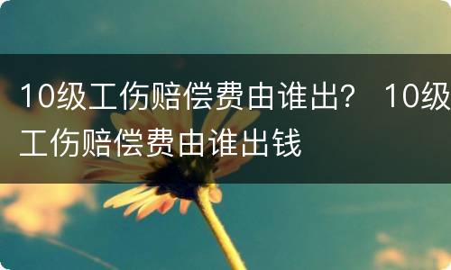 10级工伤赔偿费由谁出？ 10级工伤赔偿费由谁出钱