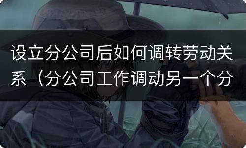 设立分公司后如何调转劳动关系（分公司工作调动另一个分公司）