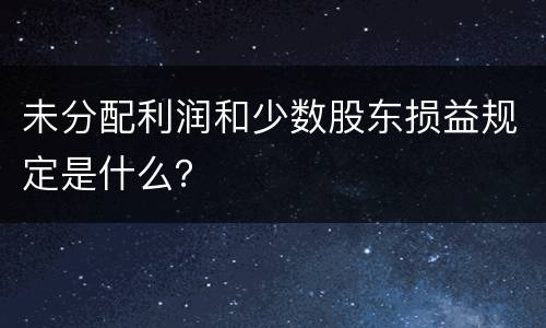 未分配利润和少数股东损益规定是什么？