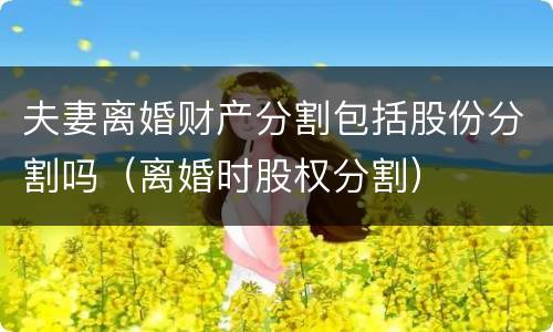 夫妻离婚财产分割包括股份分割吗（离婚时股权分割）