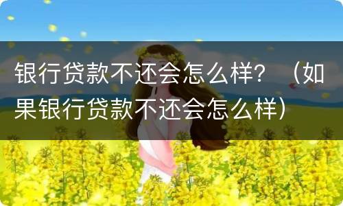 银行贷款不还会怎么样？（如果银行贷款不还会怎么样）