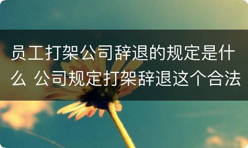 员工打架公司辞退的规定是什么 公司规定打架辞退这个合法吗