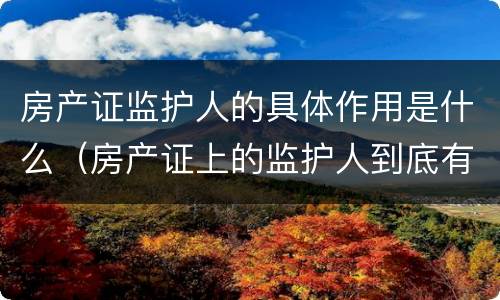 房产证监护人的具体作用是什么（房产证上的监护人到底有什么意义）