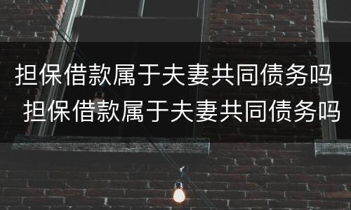 担保借款属于夫妻共同债务吗 担保借款属于夫妻共同债务吗怎么还