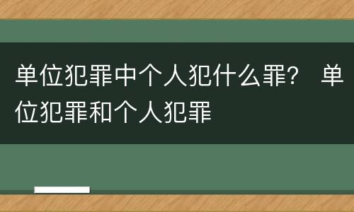 单位犯罪中个人犯什么罪？ 单位犯罪和个人犯罪