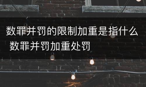 数罪并罚的限制加重是指什么 数罪并罚加重处罚