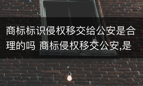 商标标识侵权移交给公安是合理的吗 商标侵权移交公安,是罚款还是抓人