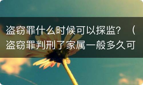盗窃罪什么时候可以探监？（盗窃罪判刑了家属一般多久可以探望）