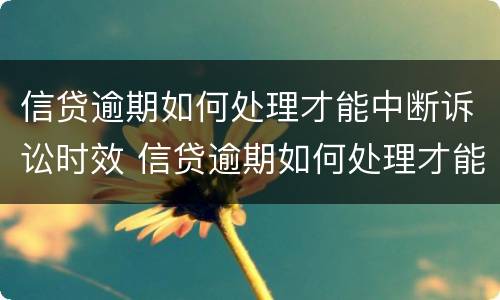 信贷逾期如何处理才能中断诉讼时效 信贷逾期如何处理才能中断诉讼时效的规定