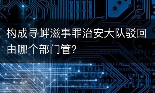 构成寻衅滋事罪治安大队驳回由哪个部门管？