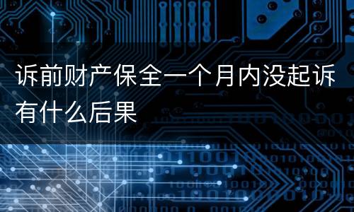诉前财产保全一个月内没起诉有什么后果