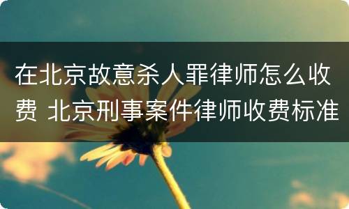 在北京故意杀人罪律师怎么收费 北京刑事案件律师收费标准
