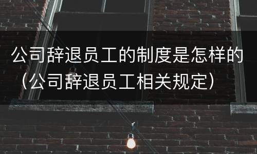 公司辞退员工的制度是怎样的（公司辞退员工相关规定）