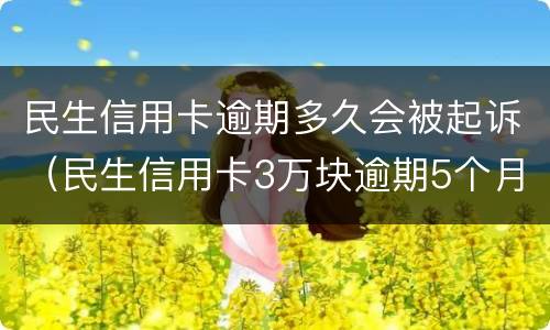 民生信用卡逾期多久会被起诉（民生信用卡3万块逾期5个月被起诉了怎么办）