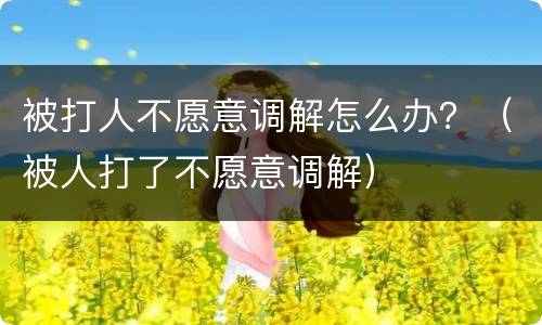 被打人不愿意调解怎么办？（被人打了不愿意调解）