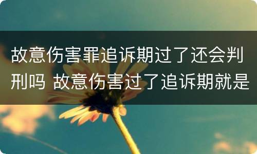 故意伤害罪追诉期过了还会判刑吗 故意伤害过了追诉期就是无罪吗