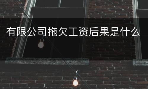 有限公司拖欠工资后果是什么