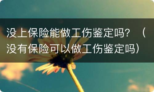 没上保险能做工伤鉴定吗？（没有保险可以做工伤鉴定吗）