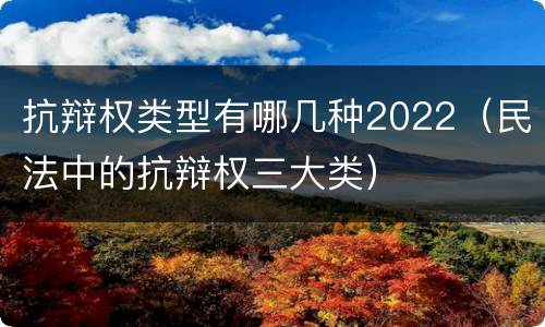 抗辩权类型有哪几种2022（民法中的抗辩权三大类）