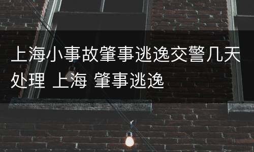 上海小事故肇事逃逸交警几天处理 上海 肇事逃逸