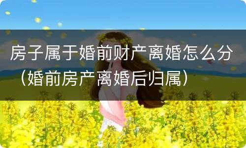 房子属于婚前财产离婚怎么分（婚前房产离婚后归属）