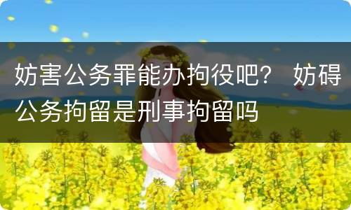 妨害公务罪能办拘役吧？ 妨碍公务拘留是刑事拘留吗
