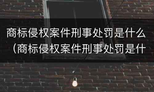 商标侵权案件刑事处罚是什么（商标侵权案件刑事处罚是什么意思）