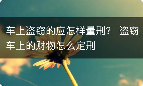 车上盗窃的应怎样量刑？ 盗窃车上的财物怎么定刑