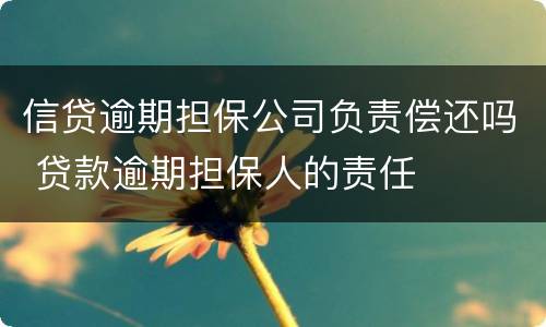 信贷逾期担保公司负责偿还吗 贷款逾期担保人的责任