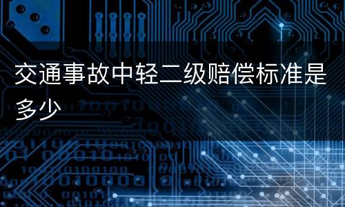 交通事故中轻二级赔偿标准是多少