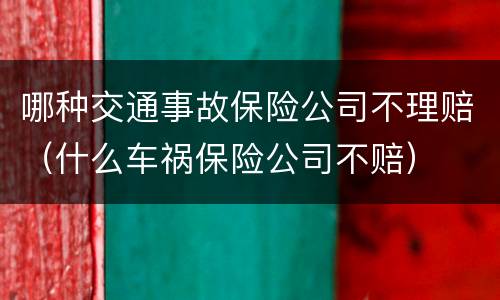 哪种交通事故保险公司不理赔（什么车祸保险公司不赔）