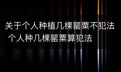 关于个人种植几棵罂粟不犯法 个人种几棵罂粟算犯法