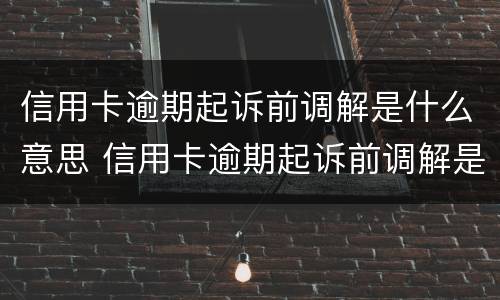 信用卡逾期起诉前调解是什么意思 信用卡逾期起诉前调解是什么意思呀