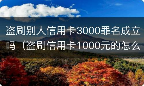 盗刷别人信用卡3000罪名成立吗（盗刷信用卡1000元的怎么定罪）