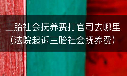 三胎社会抚养费打官司去哪里（法院起诉三胎社会抚养费）