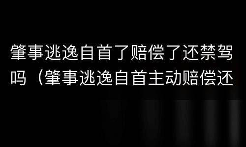 肇事逃逸自首了赔偿了还禁驾吗（肇事逃逸自首主动赔偿还用坐牢吗）