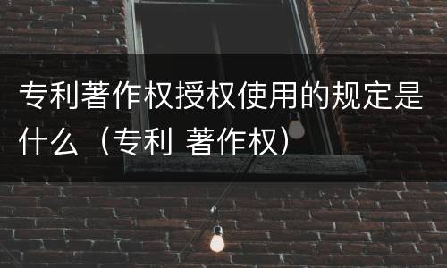 专利著作权授权使用的规定是什么（专利 著作权）
