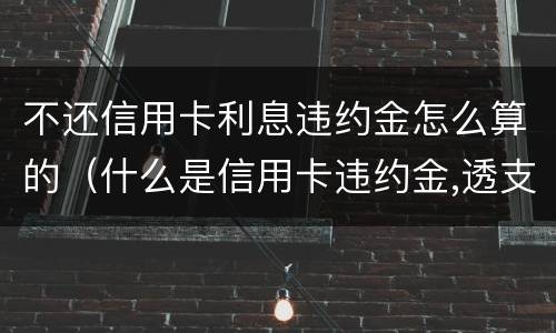不还信用卡利息违约金怎么算的（什么是信用卡违约金,透支利息）