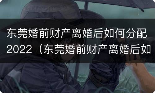 东莞婚前财产离婚后如何分配2022（东莞婚前财产离婚后如何分配2022年）