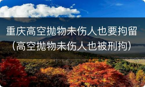 重庆高空抛物未伤人也要拘留（高空抛物未伤人也被刑拘）