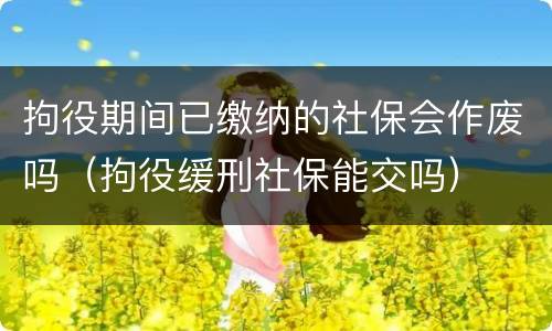 拘役期间已缴纳的社保会作废吗（拘役缓刑社保能交吗）