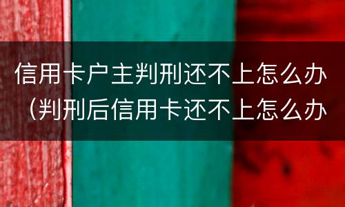信用卡户主判刑还不上怎么办（判刑后信用卡还不上怎么办）