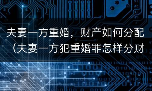 夫妻一方重婚，财产如何分配（夫妻一方犯重婚罪怎样分财产）