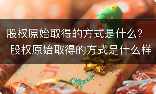 股权原始取得的方式是什么？ 股权原始取得的方式是什么样的