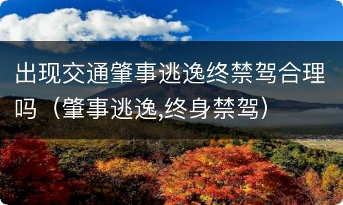 出现交通肇事逃逸终禁驾合理吗（肇事逃逸,终身禁驾）